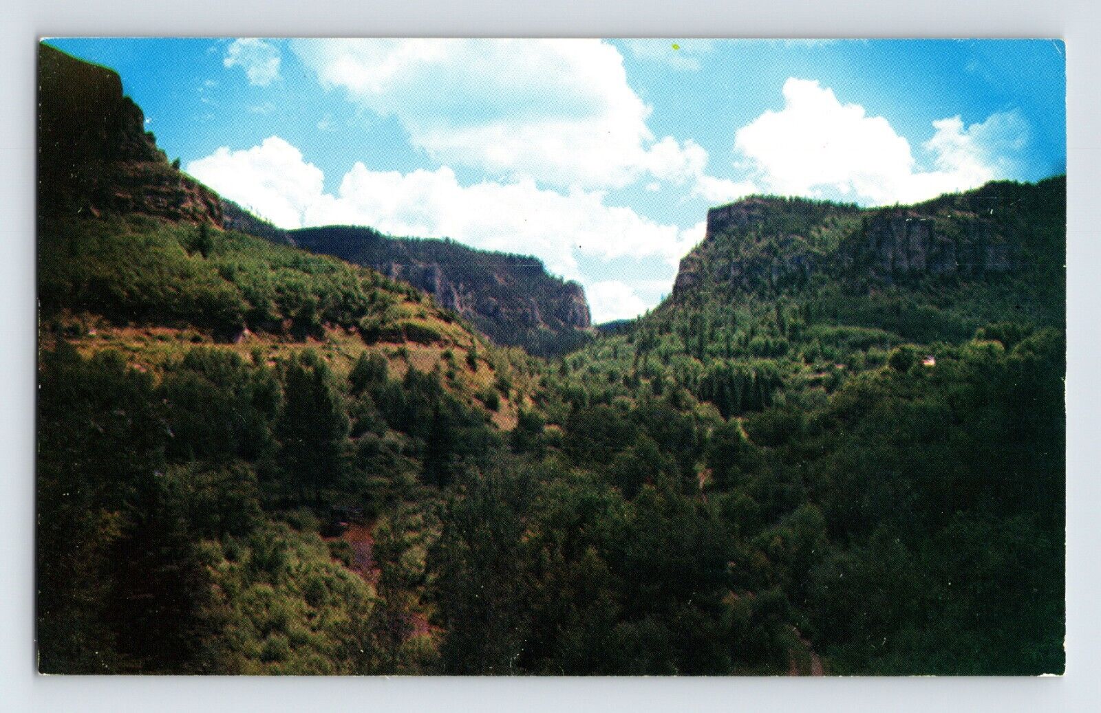 Postcard South Dakota Spearfish Canyon SD Black Hills Landscape 1960s Unposted