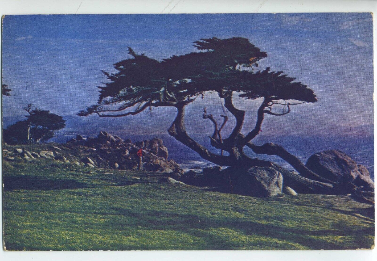 CYPRESS AND SEA 17 mile drive Golf postcard A2