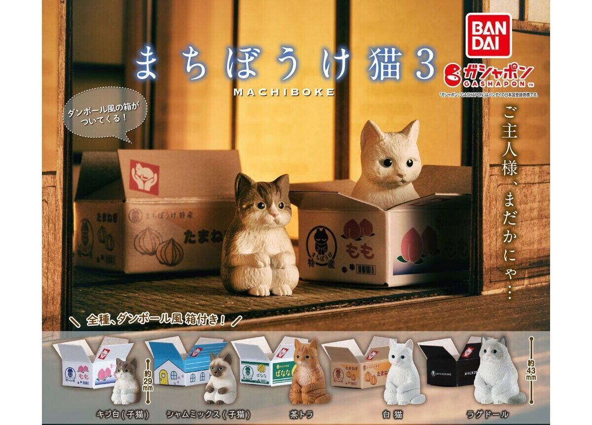 Machiboke Neko Cat Miniature Figure All 5 types Complete set Gasha Bandai Japan