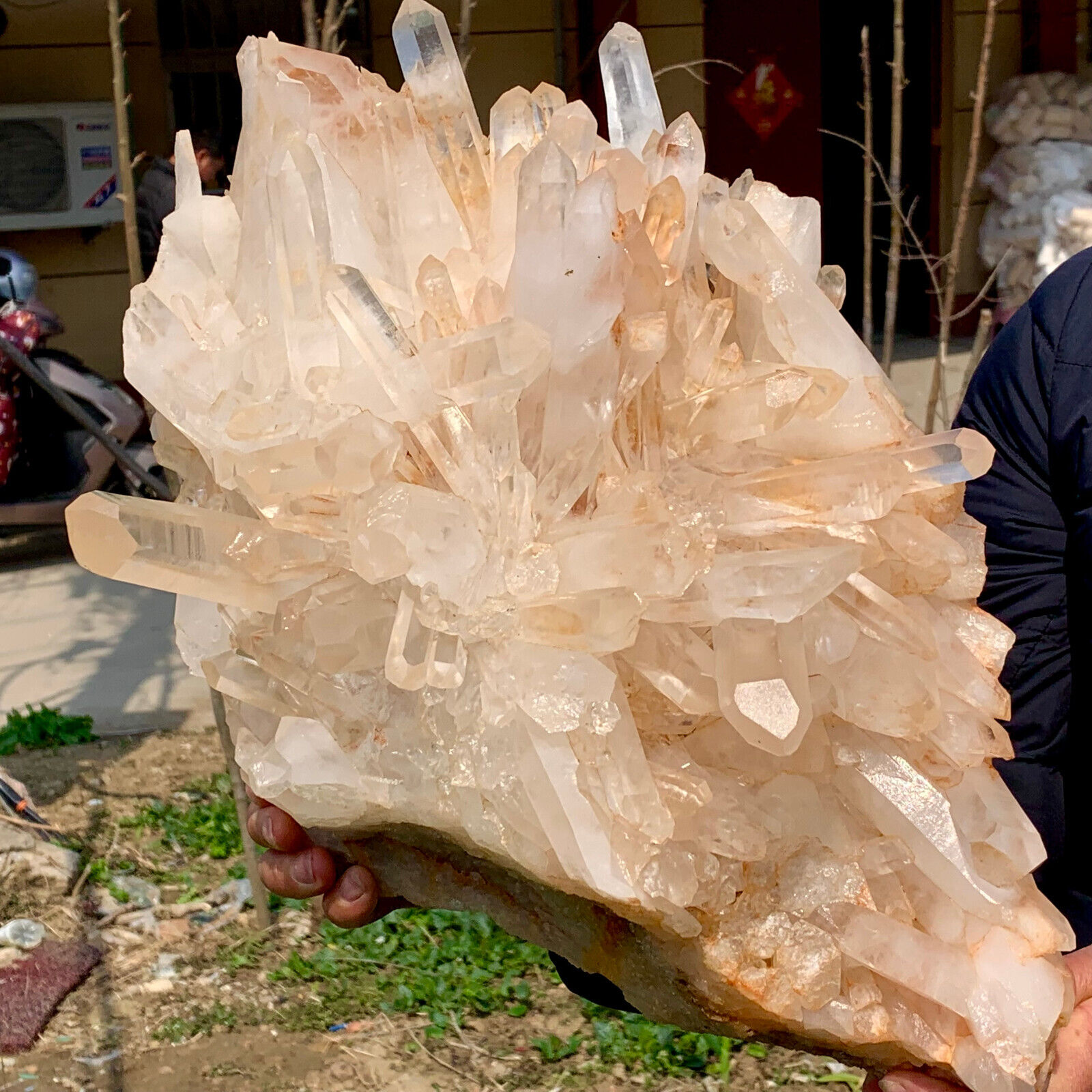 23.5LB A+++Large Natural white Crystal Himalayan quartz cluster /mineralsls