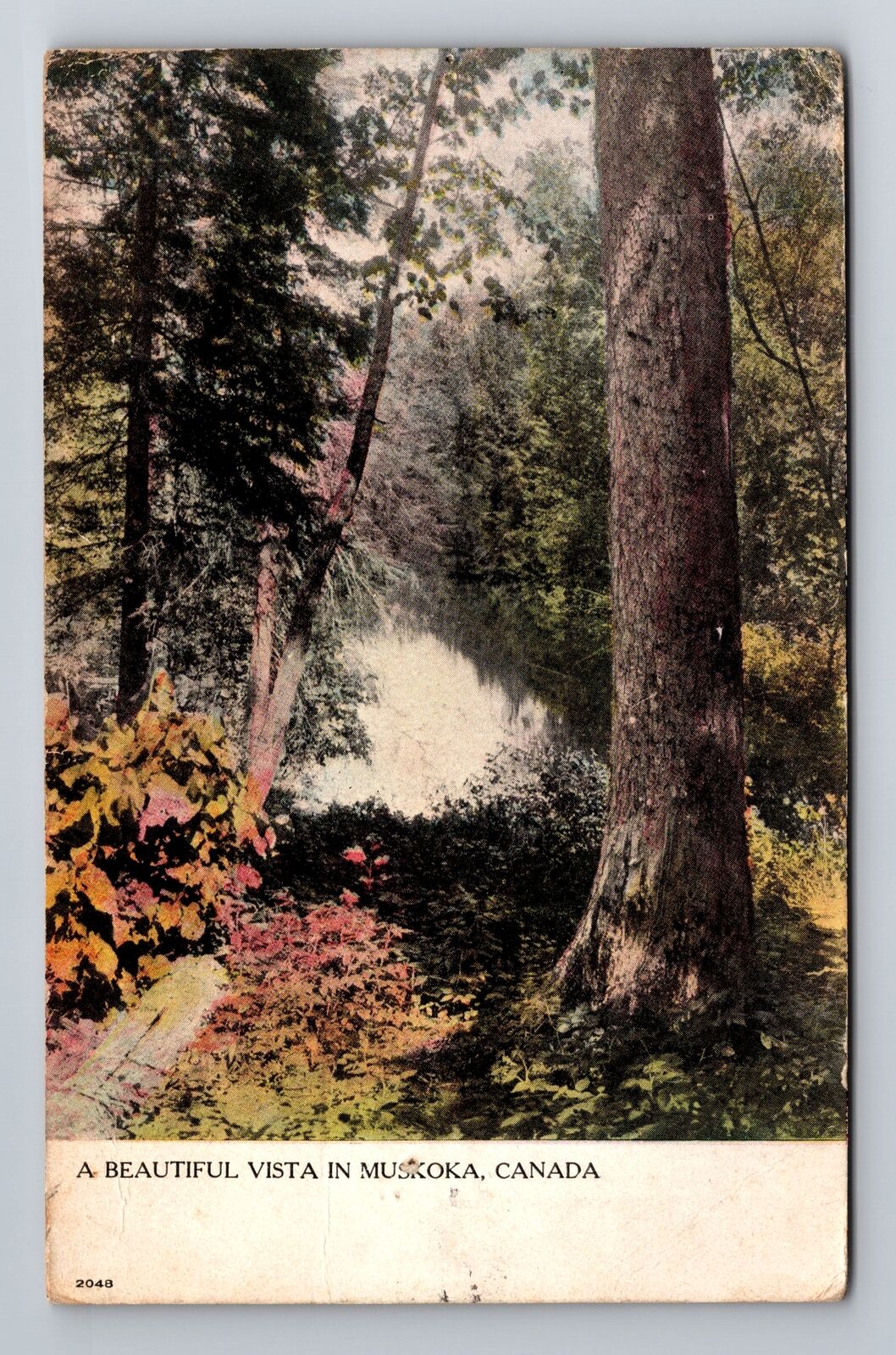 Muskoka-Ontario, A Beautiful Vista in Muskoka, Vintage Souvenir Postcard