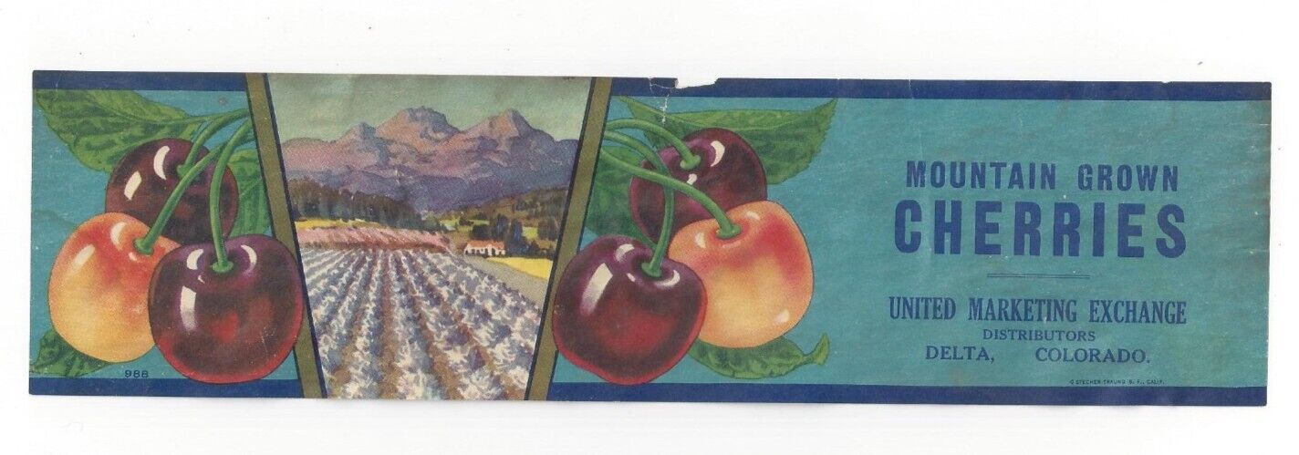 Original rare MOUNTAIN GROWN cherry crate label United Marketing Delta Colorado