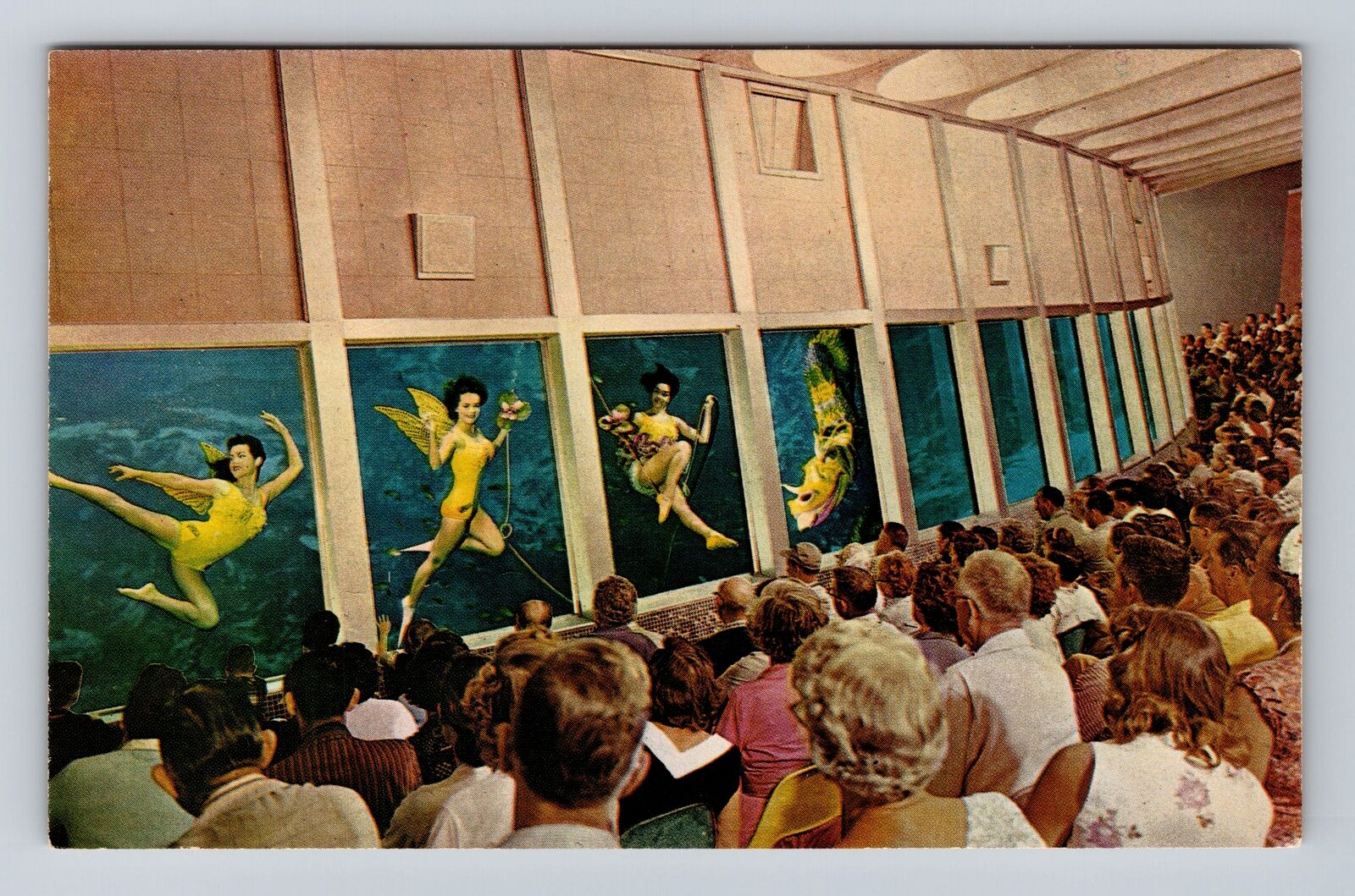 Weeki Wachee FL-Florida, Live Mermaids, Weeki Wachee Springs, Vintage Postcard