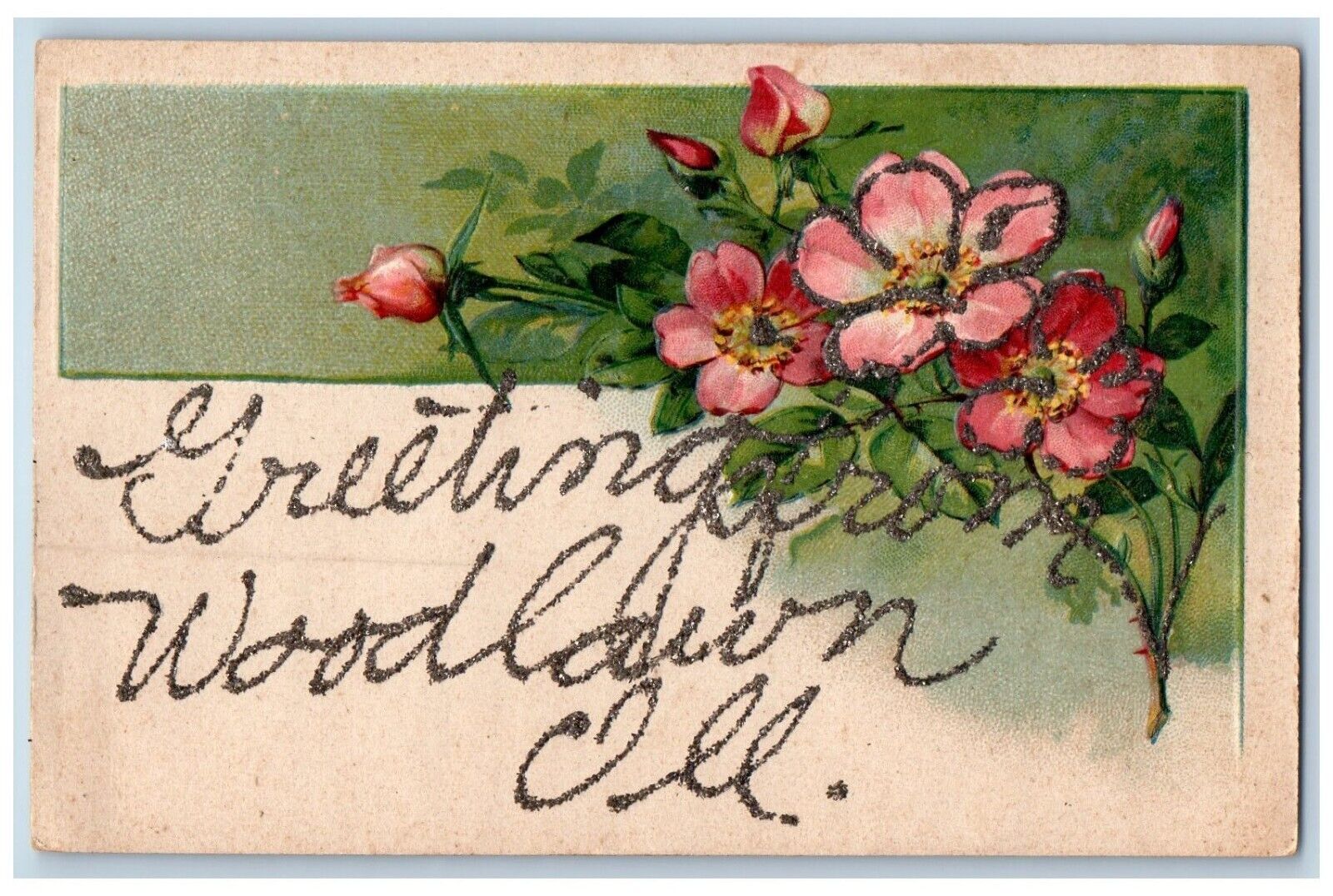 Woodlawn Illinois IL Postcard Greetings Embossed Glitter Flowers c1910 Vintage