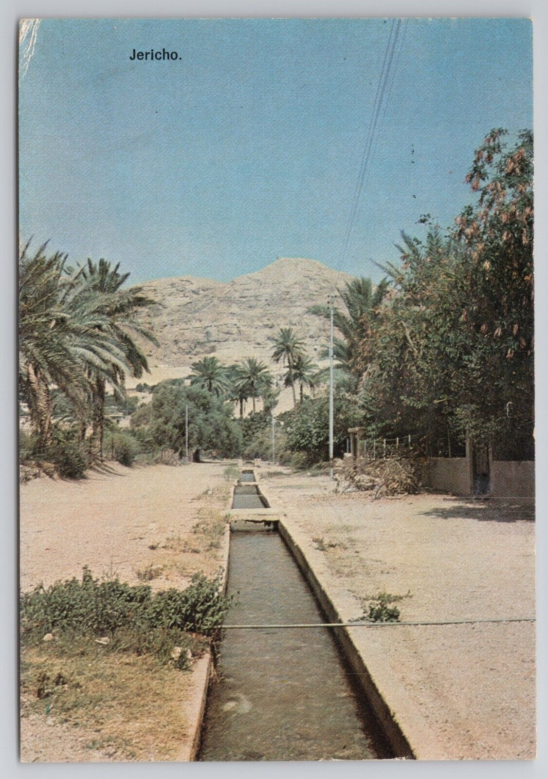 Postcard Old Jericho Israel
