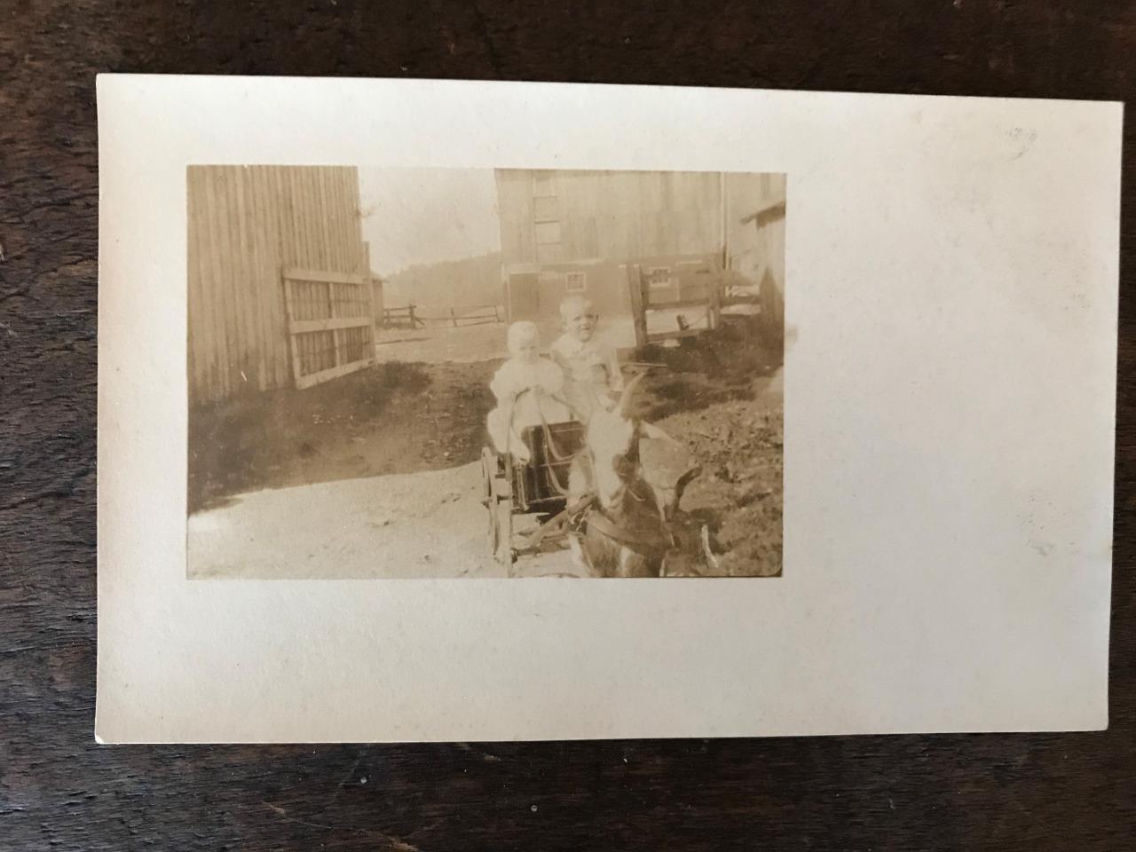 Vintage RPPC Photo Postcard Goat pulling Little Kids in A Cart horns B&W