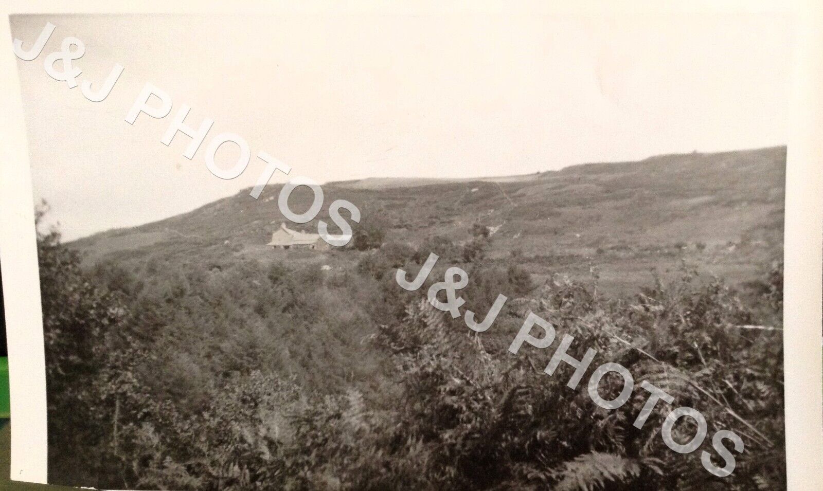 VINTAGE PHOTOGRAPH ~ Talyllyn Railway , Please read the back ~ c 1961  ~ 19A