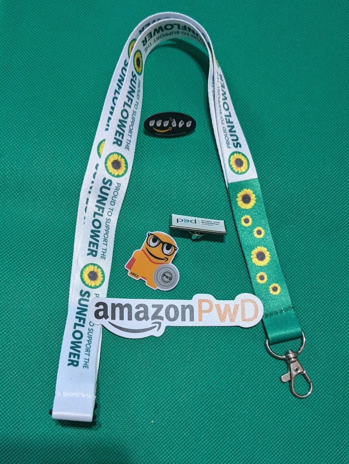 Amazon PECCY Pin 5 Pc Bulk People With Disabilities 3 Pins 1 Lanyard 1 Sticker