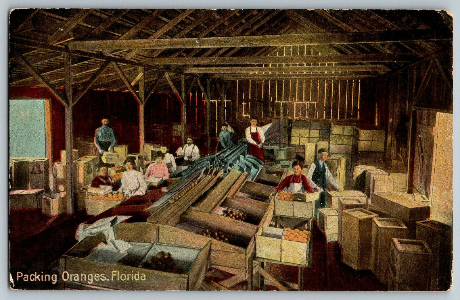 Florida - Packing Oranges - Vintage Postcard - Unposted
