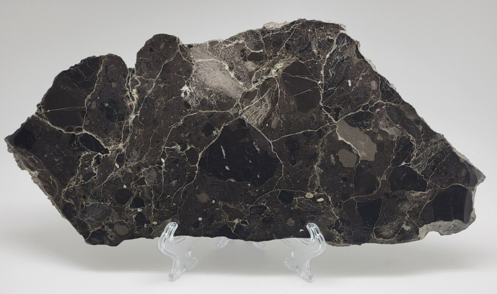 Alamo meteorite Impact Breccia from Nevada - Polished on one side 492g