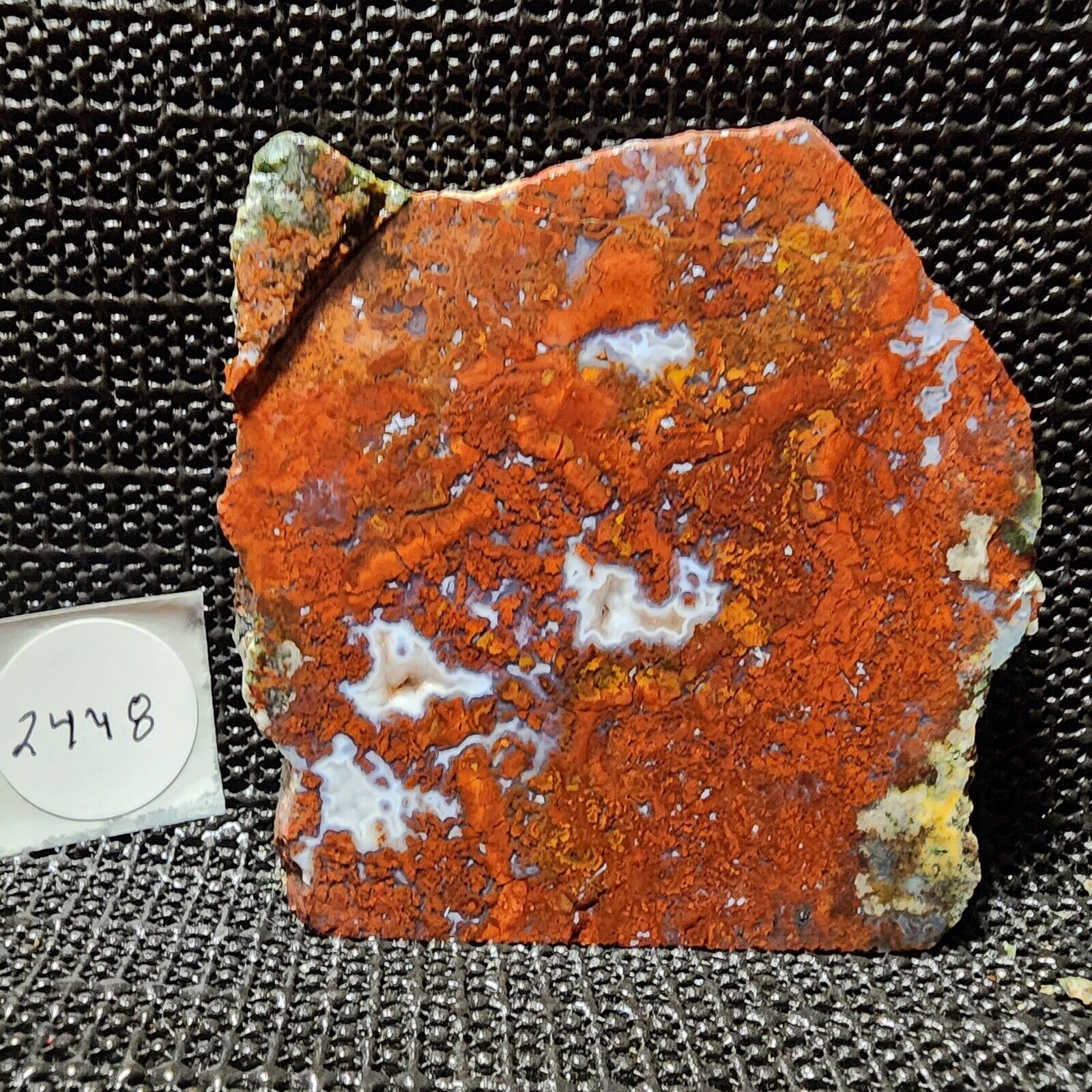 Stunning Red Lightning Agate Slab, Cab/Collect, Awesome Colors, Mexico