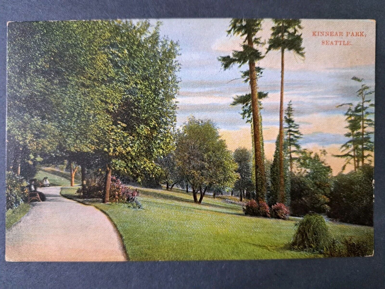 Postcard Kinnear Park Seattle, Washington WA