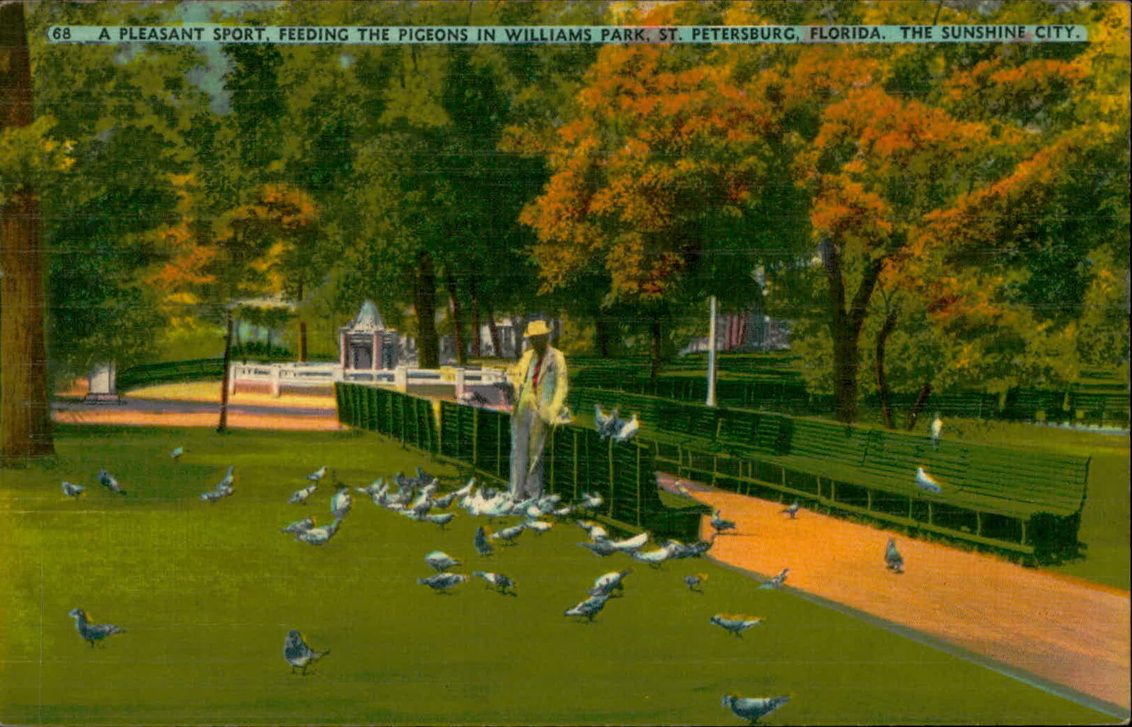 Postcard: 68 A PLEASANT SPORT, FEEDING THE PIGEONS IN WILLIAMS PARK, S