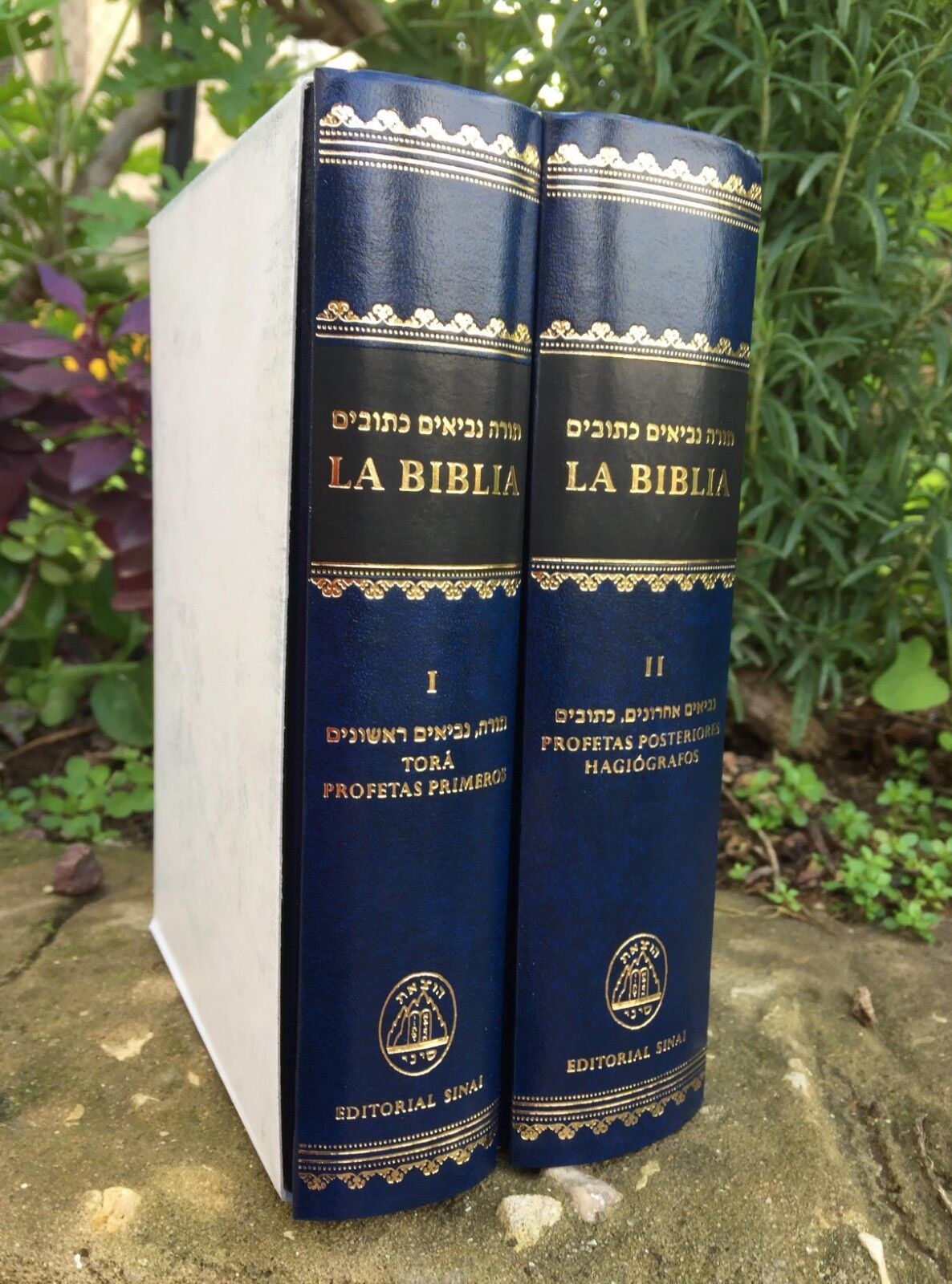 La Biblia - Tora,Profetas,Hagiografos Libro Hebrew With Spanish Translation