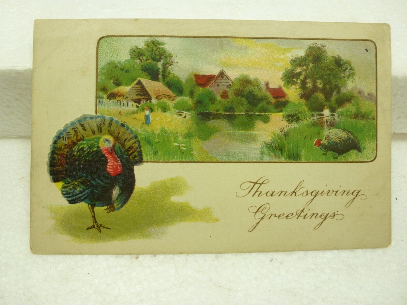 Antique Postcard Thanksgiving Embossed Turkey Unused Unposted