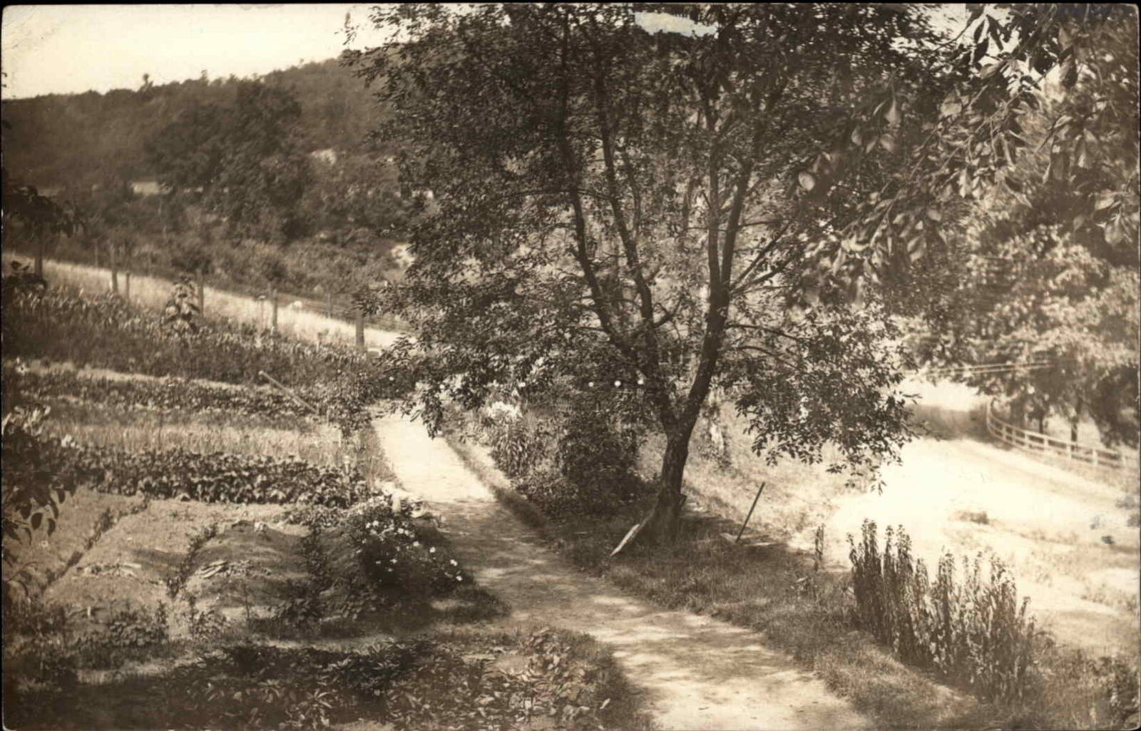 Scenic Road - Katonah NY Cancel 1912 Real Photo Postcard