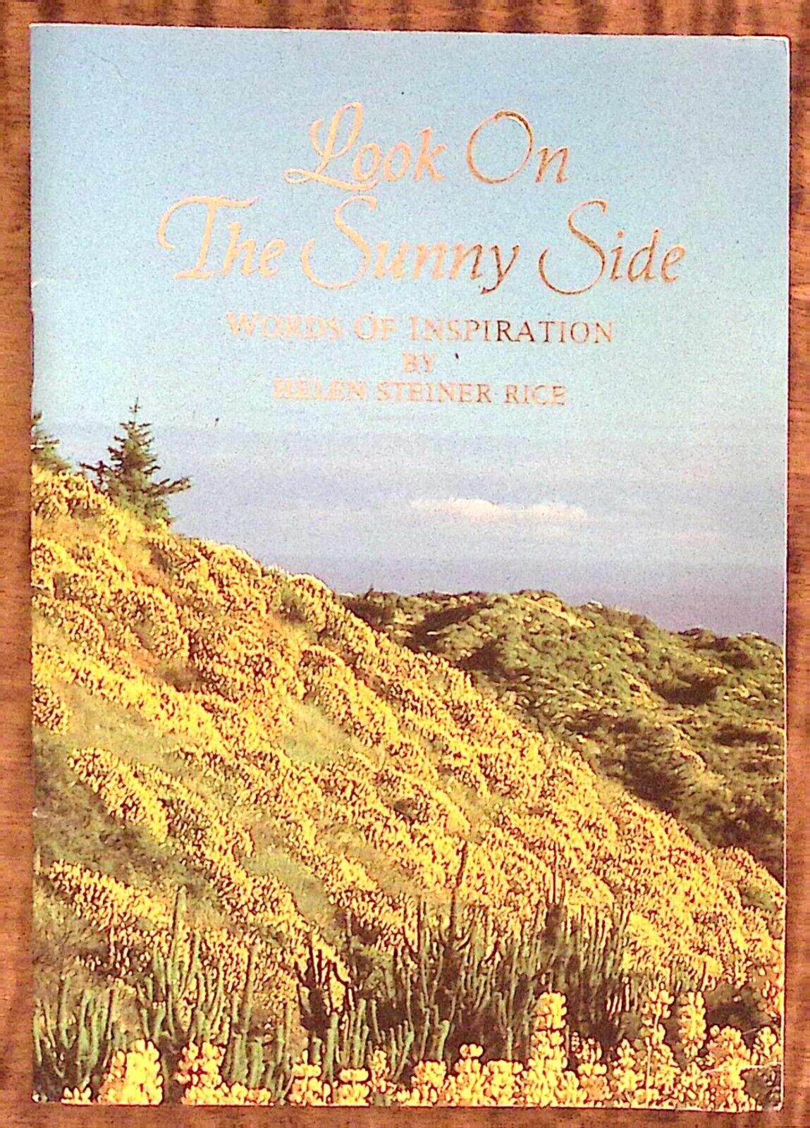 VINTAGE LOOK ON THE SUNNY SIDE HELEN STEINER RICE GIBSON CHRISTIAN BOOKLET Z4018