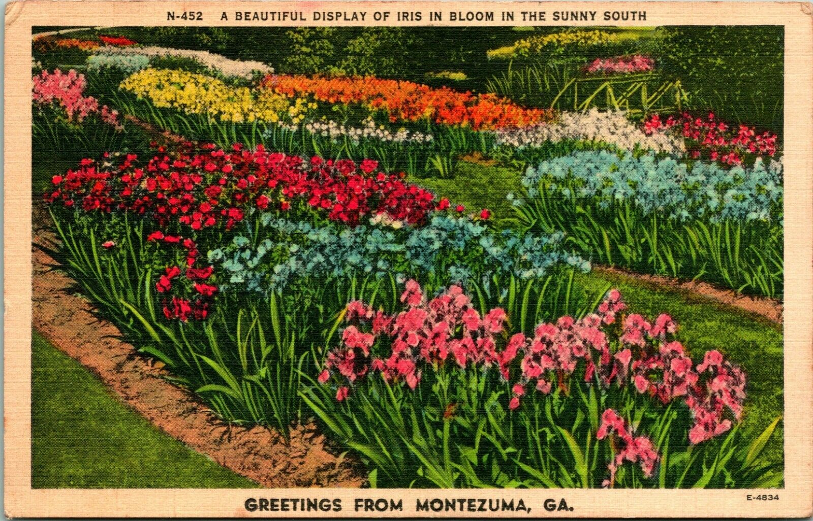 Generic Greetings Iris in Bloom Montezuma Georgia GA Linen Postcard S21