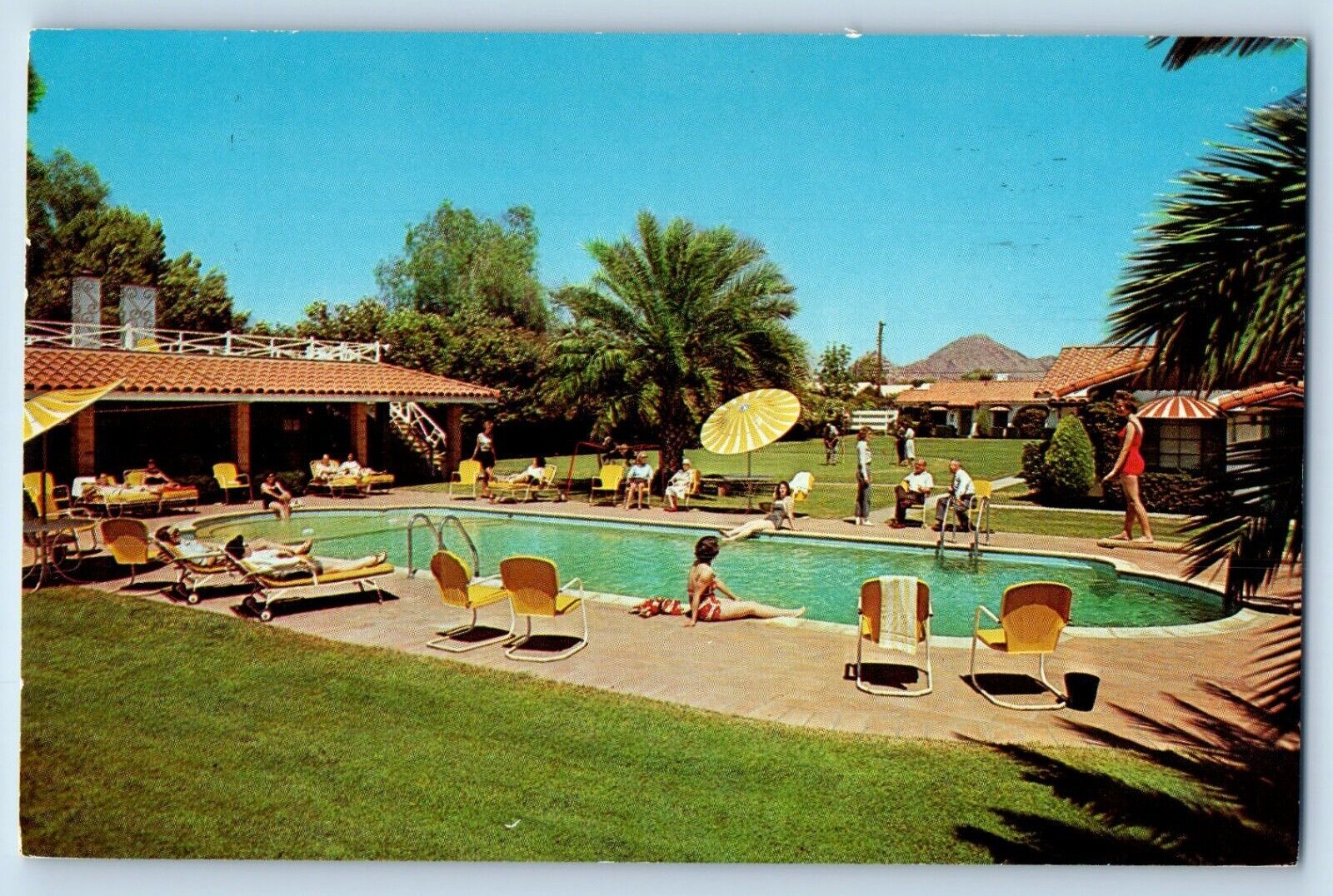 Phoenix Arizona Postcard The Biltwel Apartments Swimming Pool View 1963 Vintage