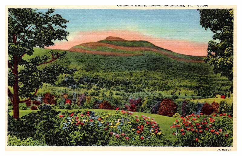 Postcard MOUNTAIN SCENE Green Mountains Vermont VT 6/28 AP4437