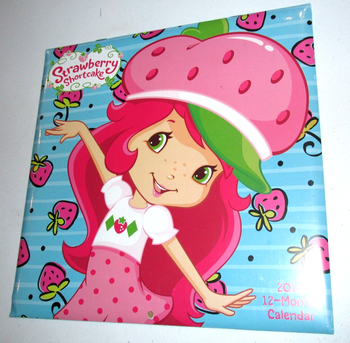 NEW 2016 Strawberry Shortcake Monthly Wall Hanging Calendar 12 Months