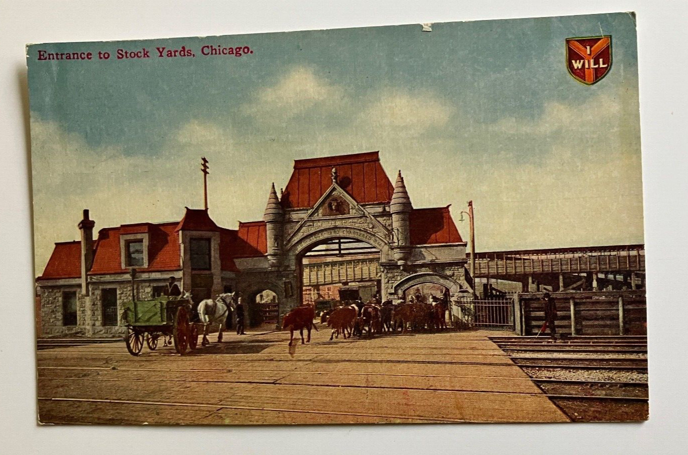 Entrance to Stockyards- Chicago-Circa 1910\'s