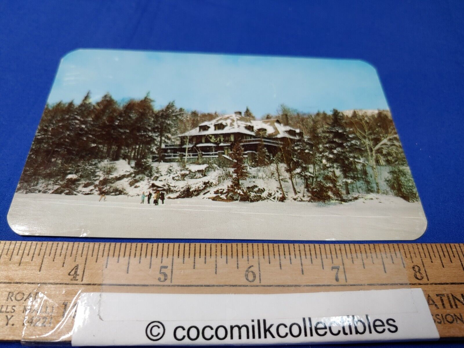 Postcard 1960 Albedor Lodge Fourth Lake N.Y. Snowy Color View Info On Back Nice