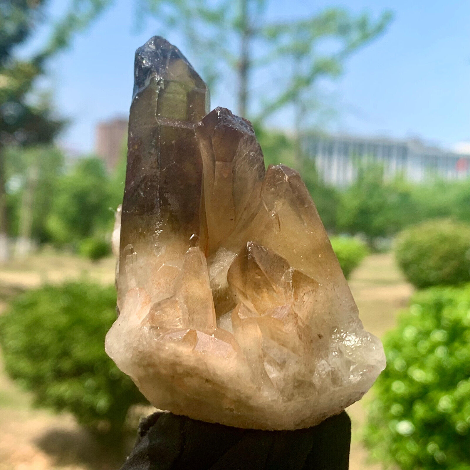 159G  Natural Himalayan Black Smoked Crystal Meditation Energy Crystal cluster