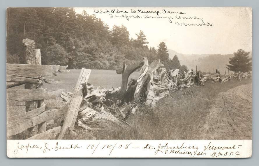 Fantastic Pine Stump Fence Photo ST. JOHNSBURY Vermont RPPC Antique 1908