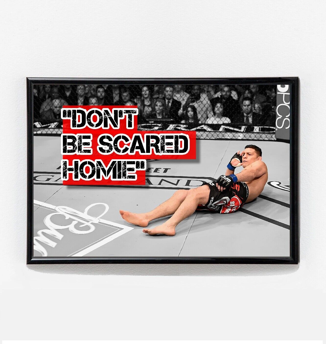 Nick Diaz Don't Be Scared Homie Poster Original Art UFC 183 NEW USA