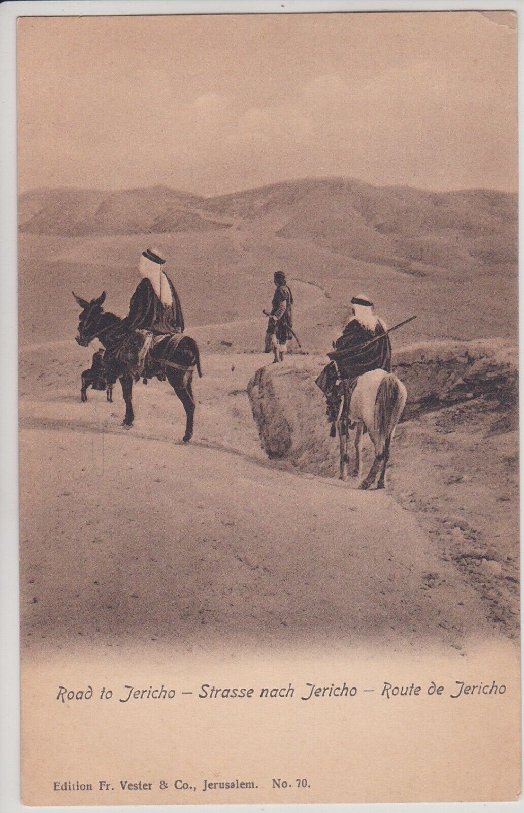 Jericho, Israel. Road to Jericho. Antique Postcard.