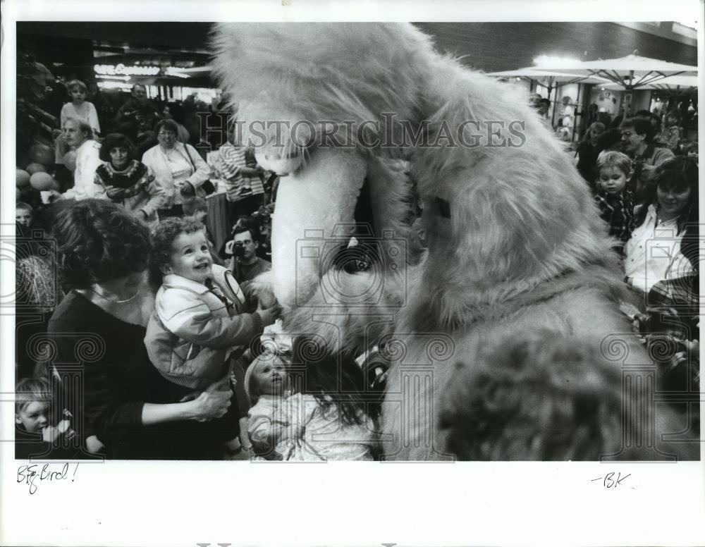 1994 Press Photo Families Gather In Coeur d\'Alene for Sesame Street\'s Birthday
