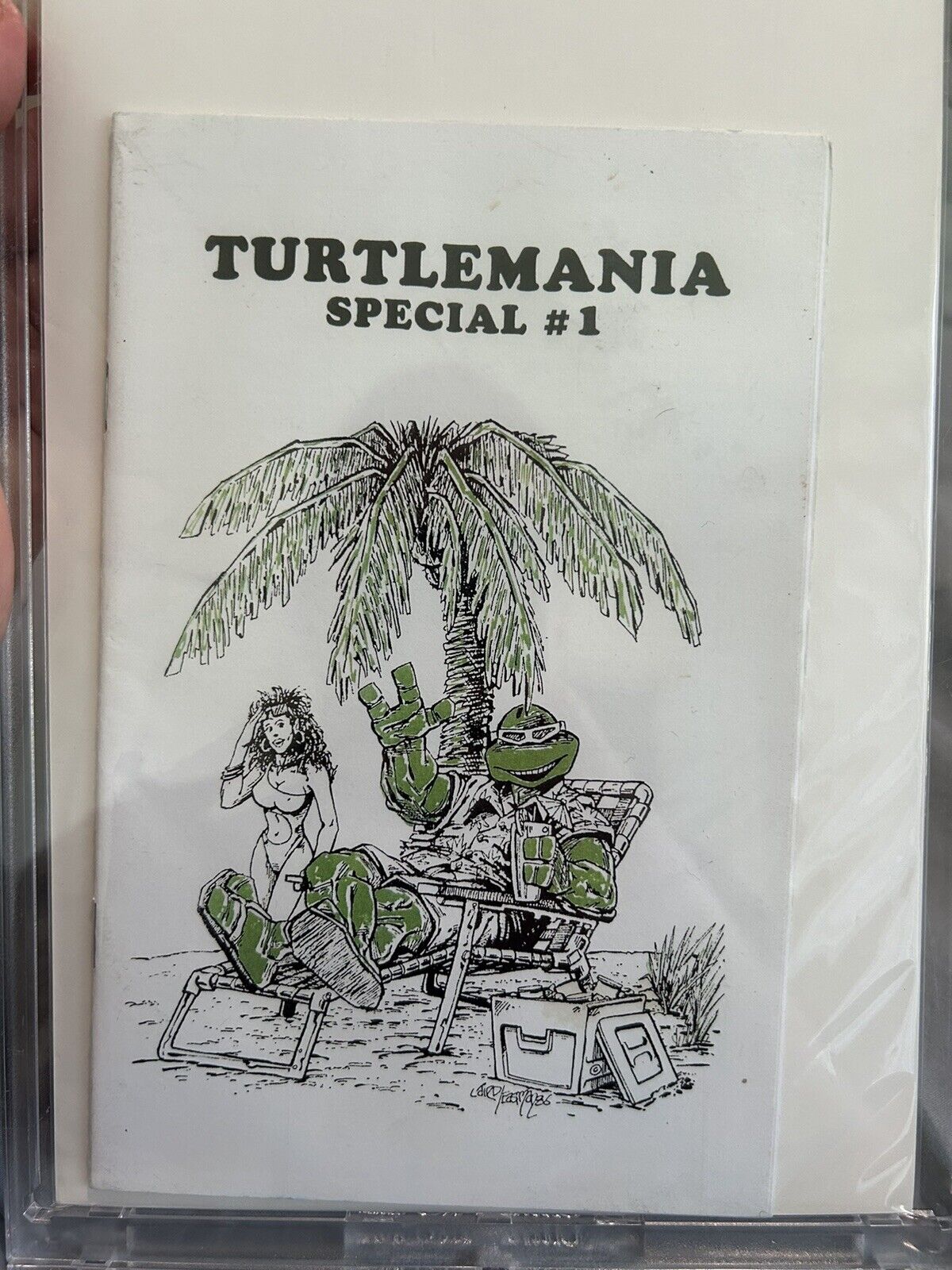 Turtlemania Special 1 First Print Signed By Published 🚨25 Hand Selected🚨