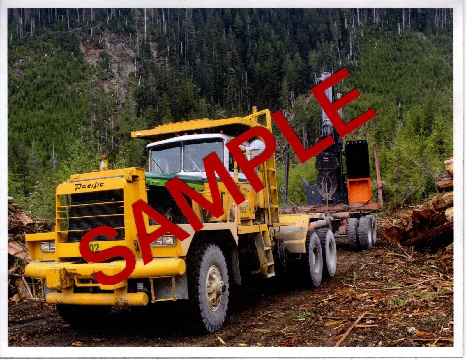 Pacific Log Truck on Vancouver Island, British Columbia,Canada, Cat Powered.