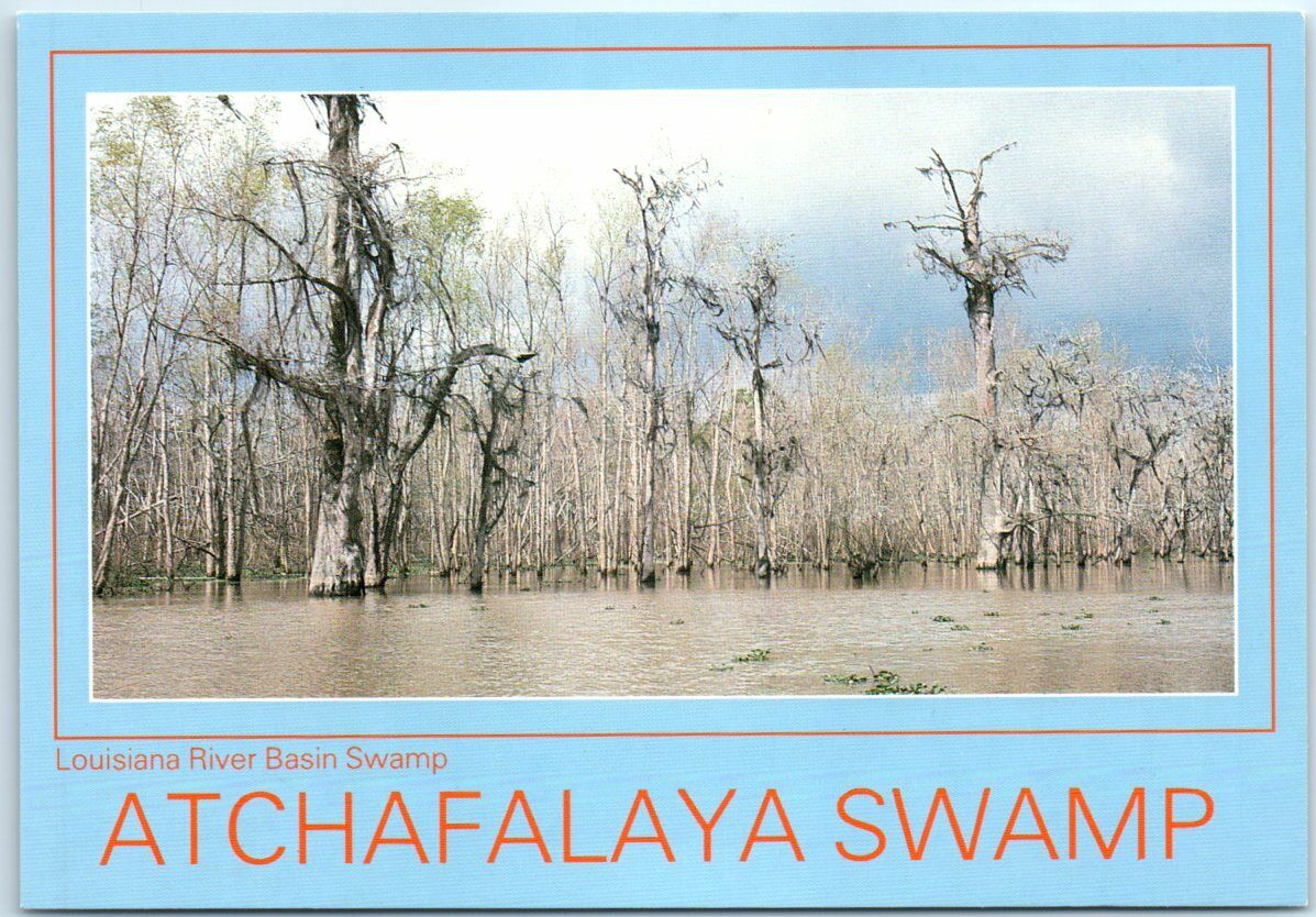 Postcard - Louisiana River Basin Swamp - Atchafalaya Swamp, Louisiana