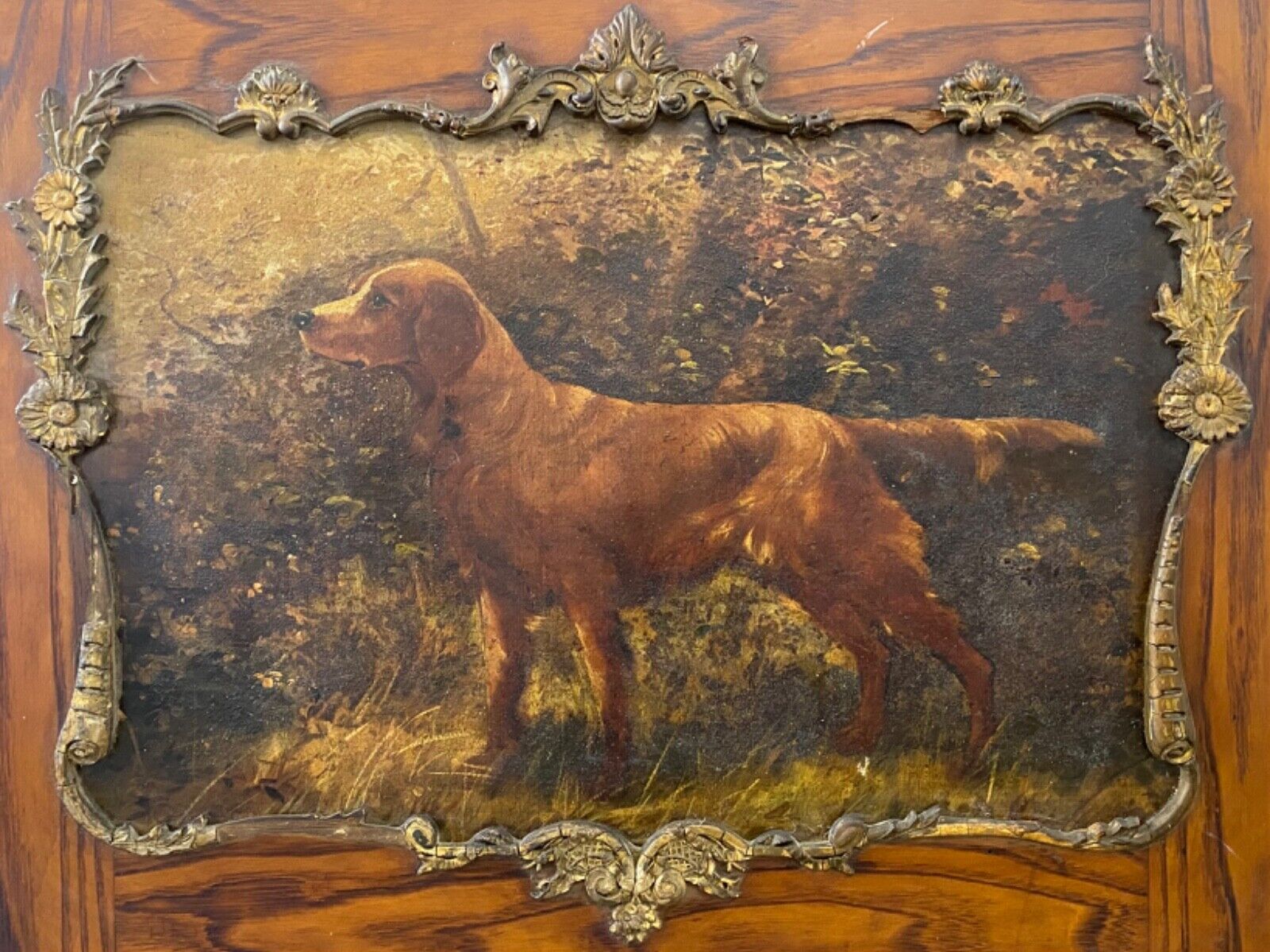 🔥 Fine Antique Early American Old 19th c Irish Setter Dog Portrait Oil Painting