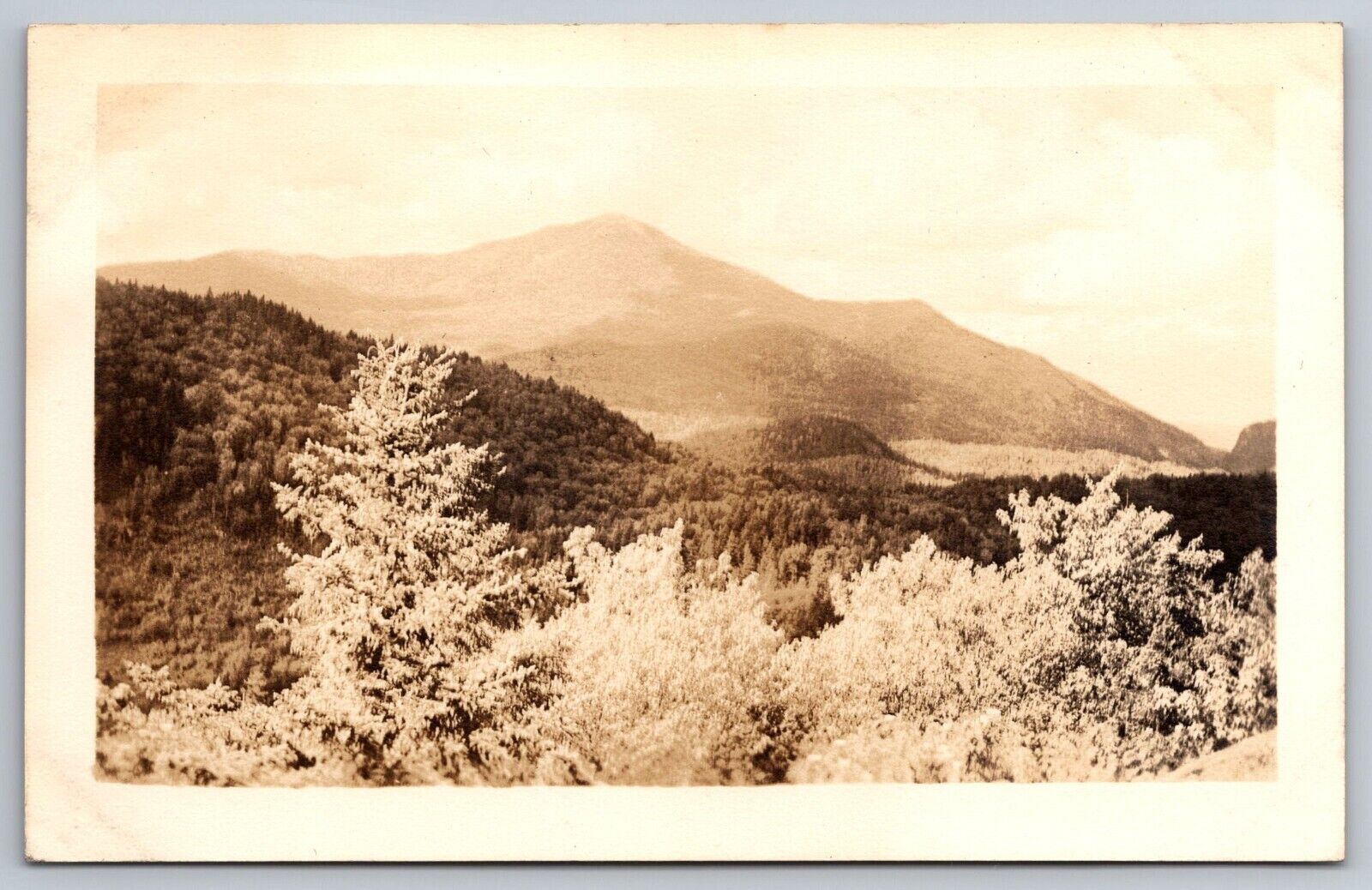 Adirondack Mountain NY Real Photo Postcard