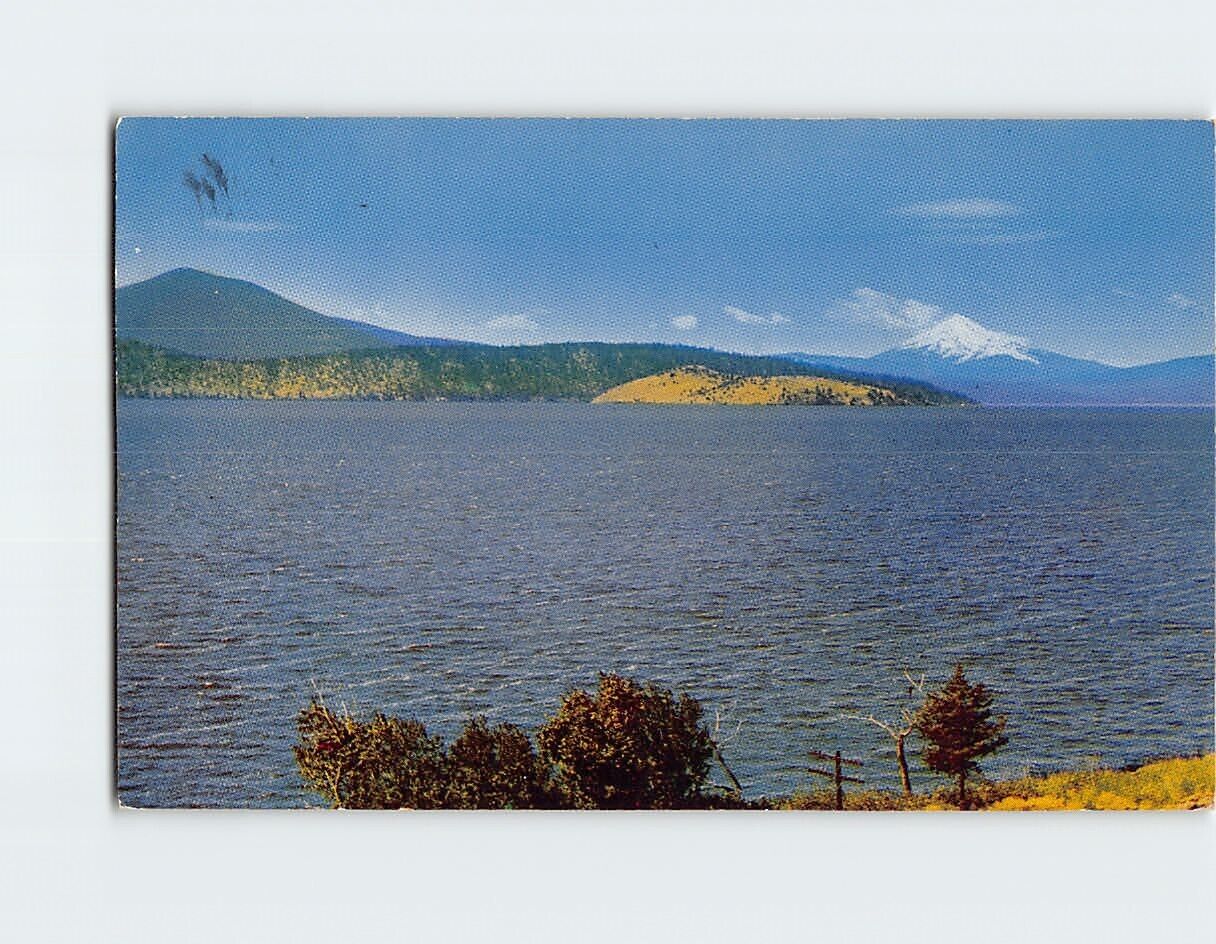 Upper Klamath Lake Postcard near Klamath Falls Oregon USA Original 