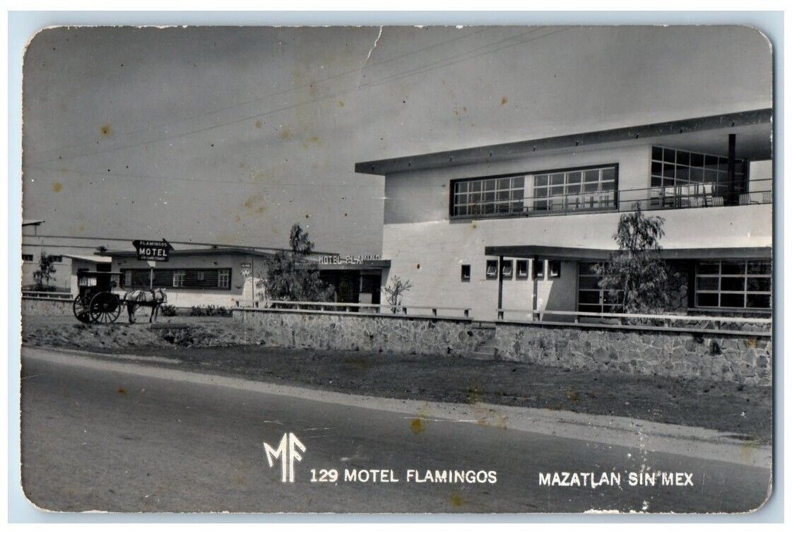 c1950's Motel Flamingos Horse Carriage Mazatlan Mexico RPPC Photo Postcard