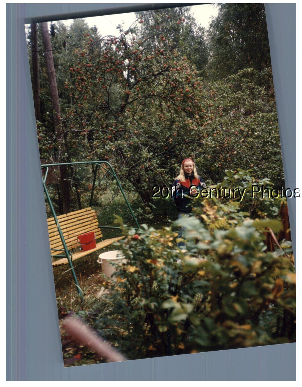 COLOR PHOTO F_1005 PRETTY WOMAN SITTING IN BUSHES