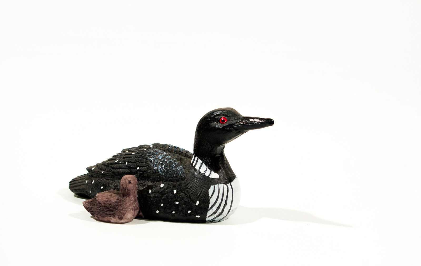 Loon with chick 4\
