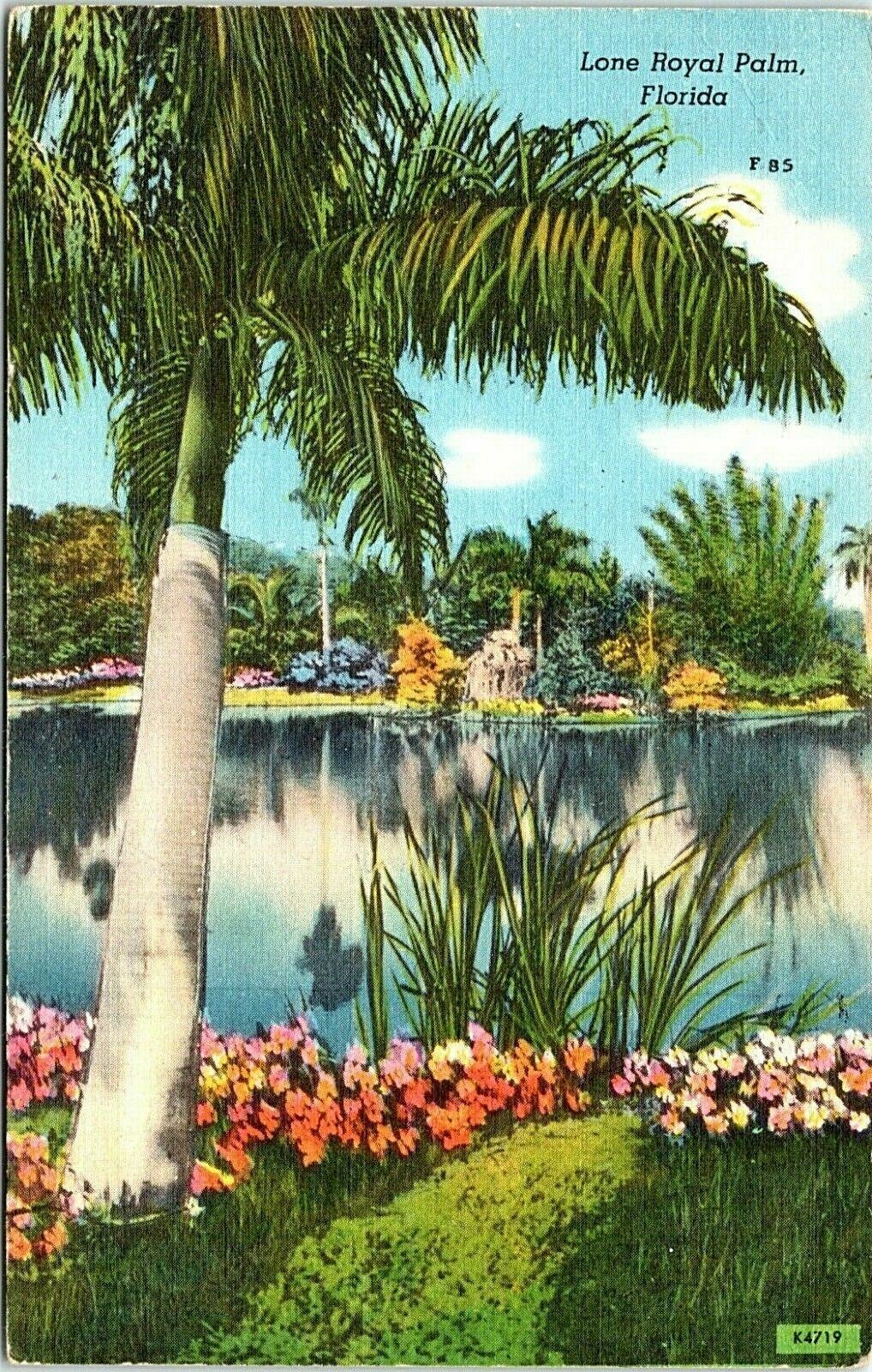 Royal Palm Miami Beach Florida 1954