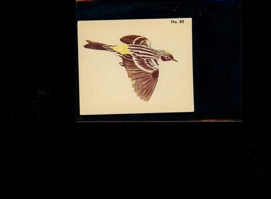 1952 V339-2 Parkhurst Audubon Society Birds Myrtle Warbler #82