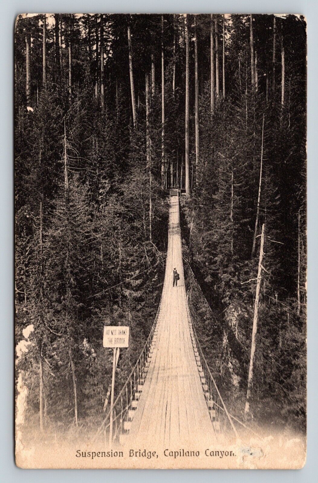 Suspension Bridge Capilano Canyon Vancouver B. C.  Canada Vintage Postcard 1905