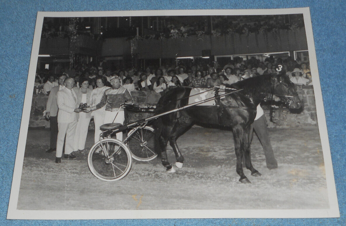 1975 Harness Racing Press Photo Horse \