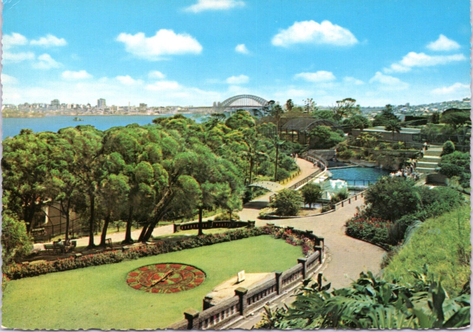 Postcard Australian Sydney Taronga Zoo with Floral Clock