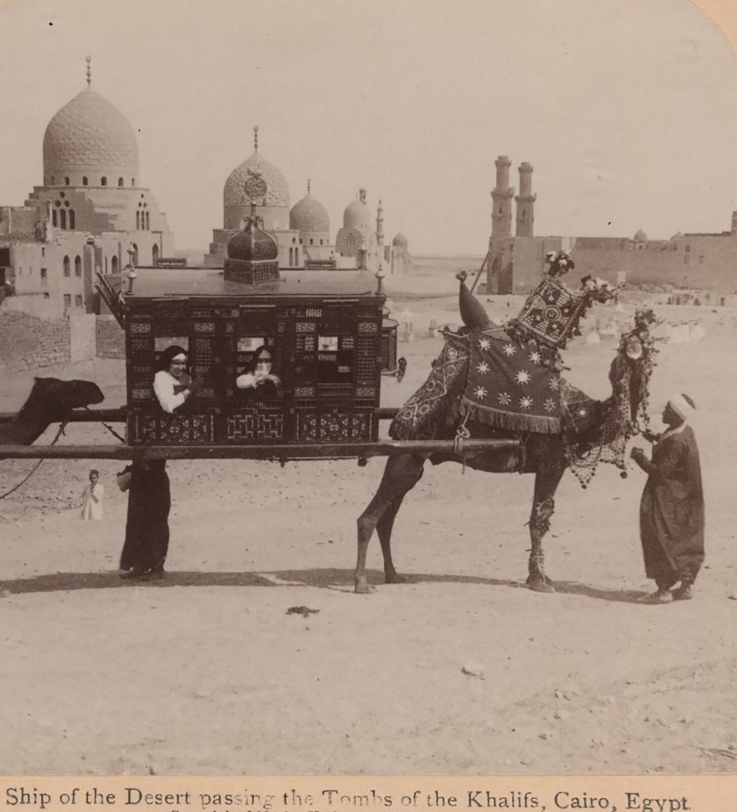 Decorated Ship of the Desert passing Tombs Cairo Egypt Underwood Stereoview 1896