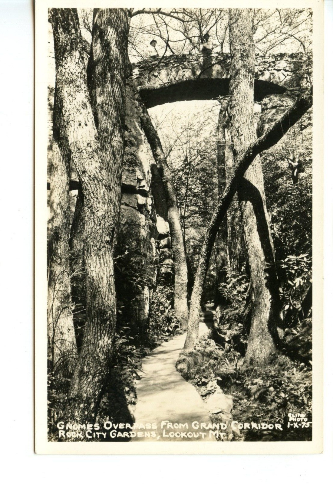 Gnomes Bridge-Rock City Gardens-Lookout Mountain-Tennessee-Vintage RPPC Postcard