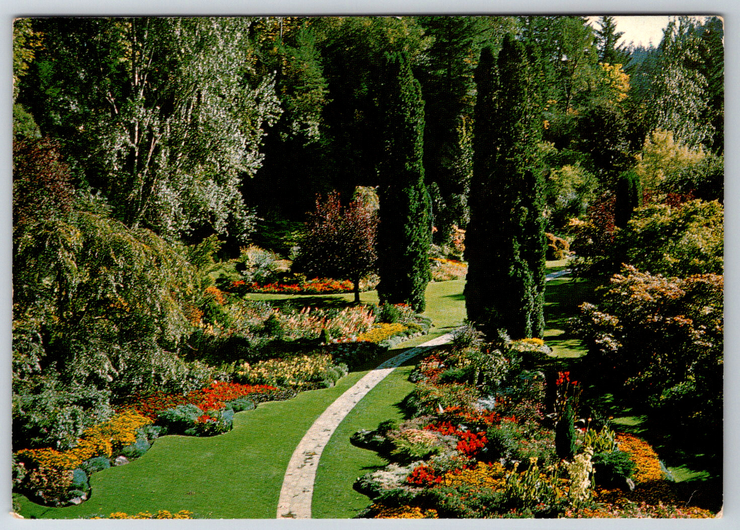 c1960s Sunken Garden Butchart Victoria B.C. Canada Vintage Postcard Continental