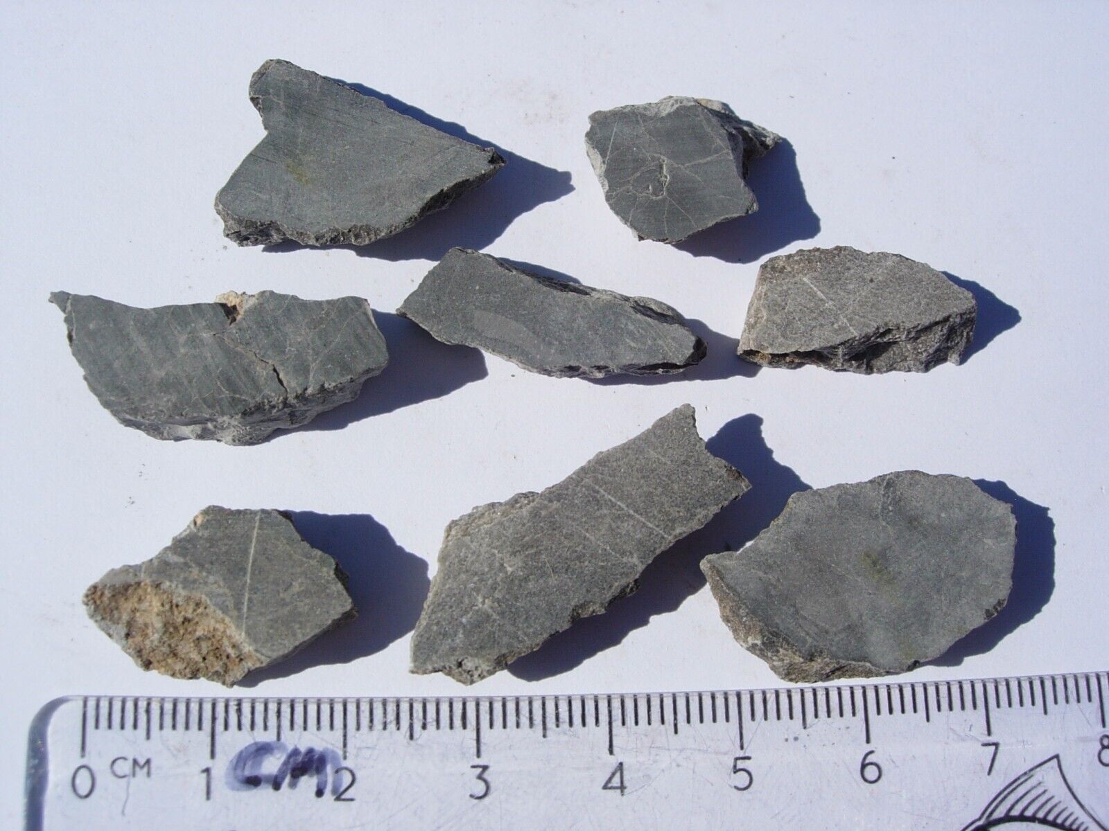 all 16.3 grams Alamo meteorite Impact Breccia from Nevada - unpolished slices
